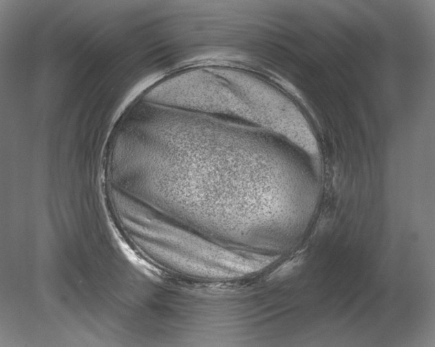 X0000080741042200701051139