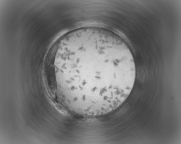 X0000080741043200701051139