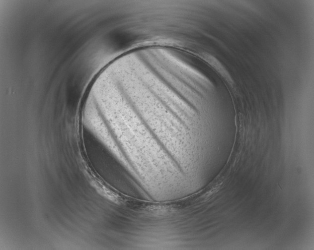 X0000080741044200701051139