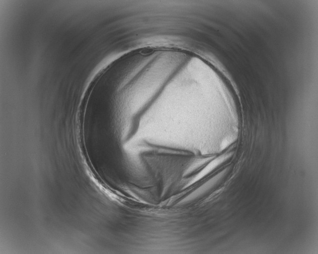 X0000080741045200701051139