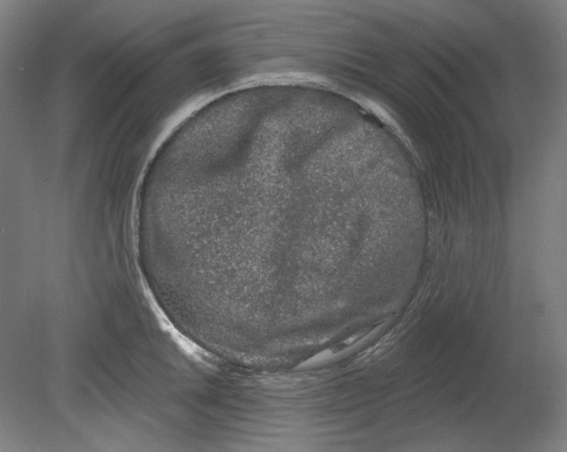 X0000080741046200701051139