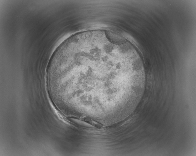 X0000080741047200701051139