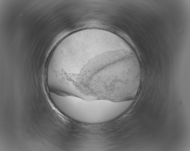 X0000080741048200701051139