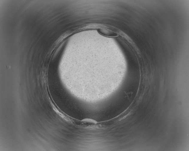 X0000080741049200701051139