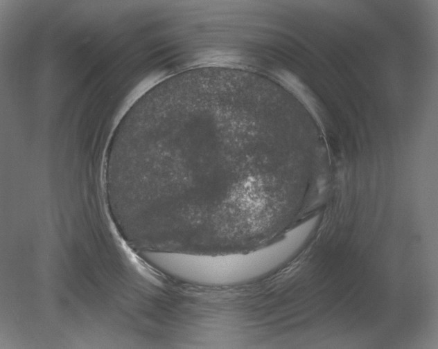 X0000080741050200701051139