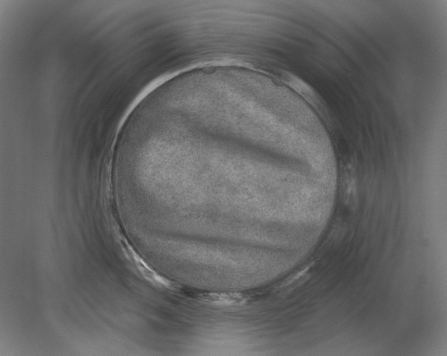 X0000080741052200701051139