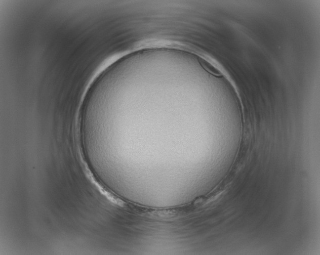 X0000080741053200701051139