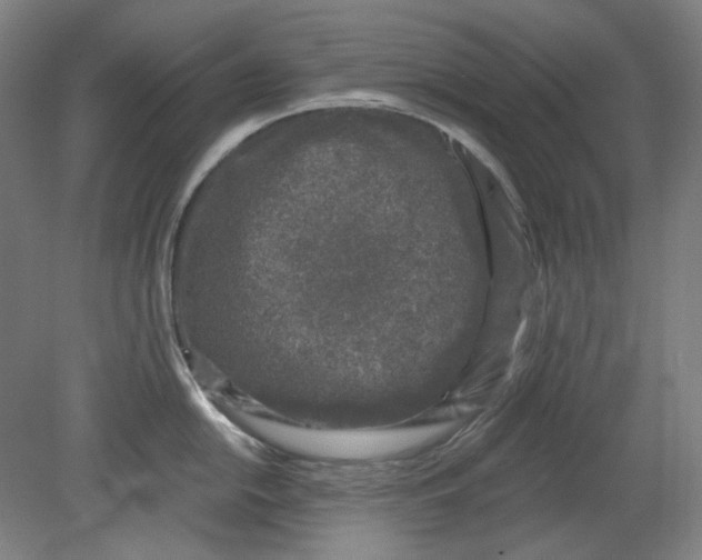 X0000080741054200701051139