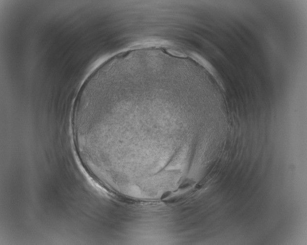 X0000080741055200701051139