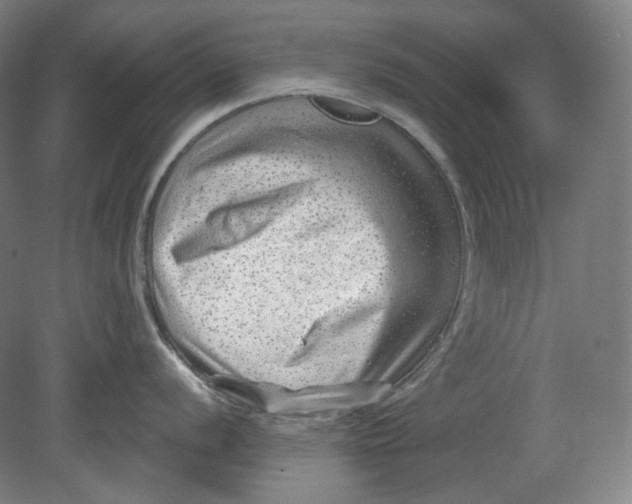 X0000080741056200701051139