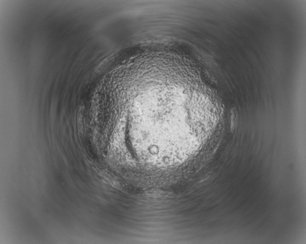 X0000080741059200701051139