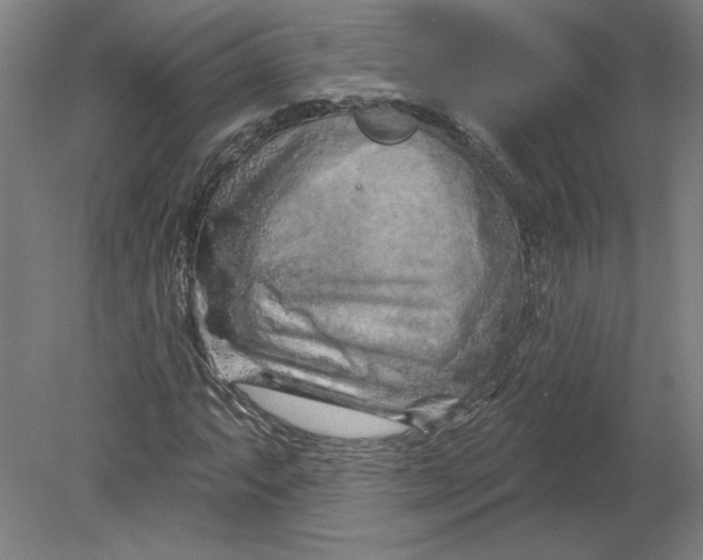 X0000080741063200701051139