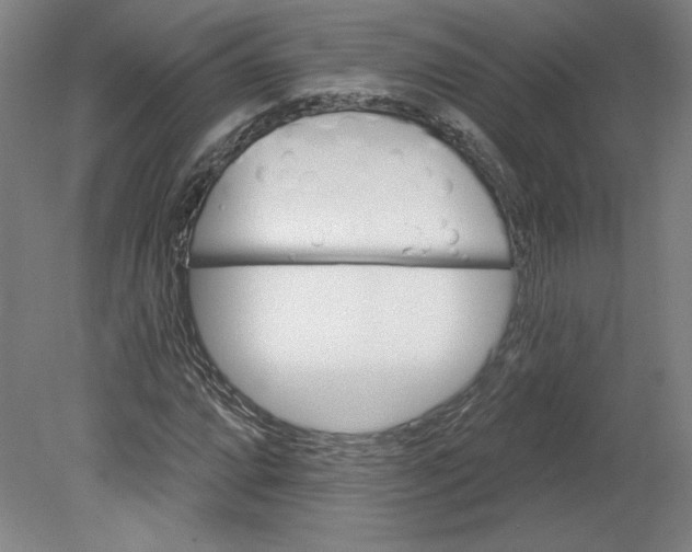 X0000080741064200701051139