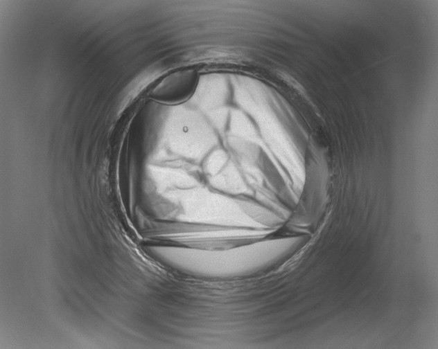 X0000080741066200701051138