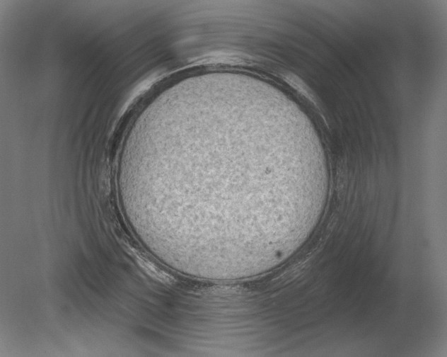 X0000080741067200701051138