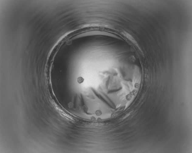 X0000080741068200701051138