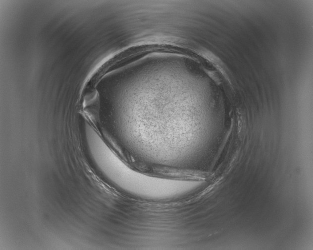 X0000080741069200701051138