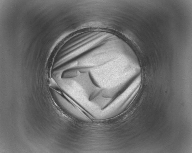 X0000080741070200701051138