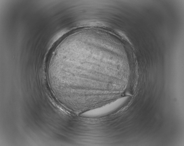 X0000080741071200701051138