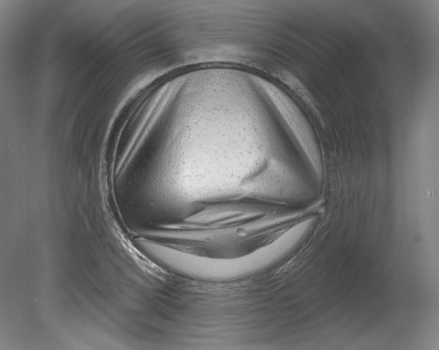 X0000080741072200701051138