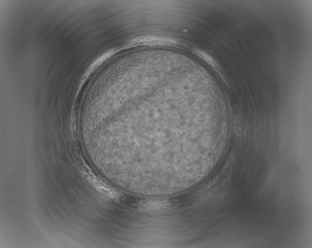 X0000080741074200701051138