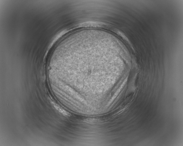 X0000080741075200701051138