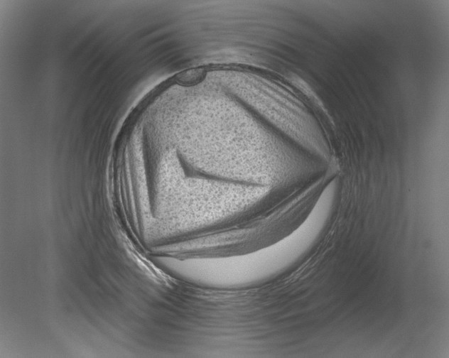 X0000080741076200701051138