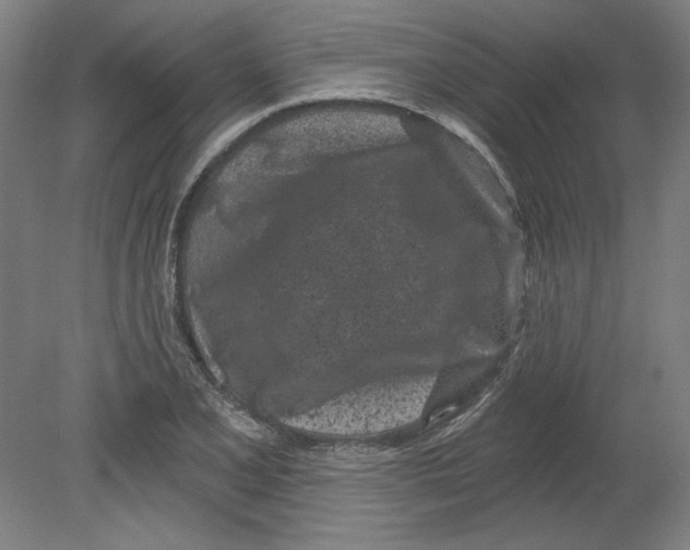 X0000080741077200701051138