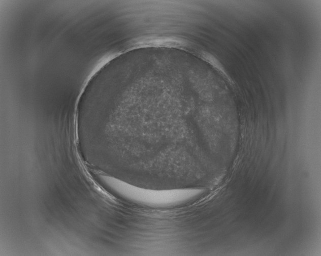 X0000080741079200701051138