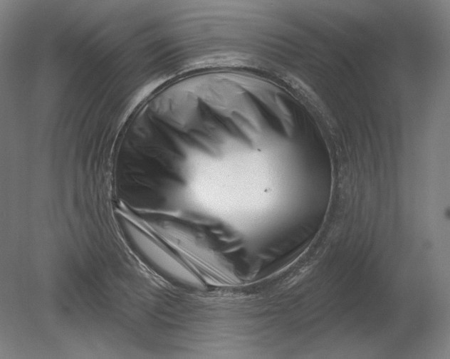 X0000080741081200701051138