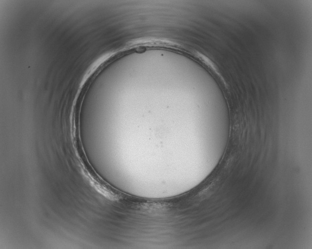 X0000080741082200701051138