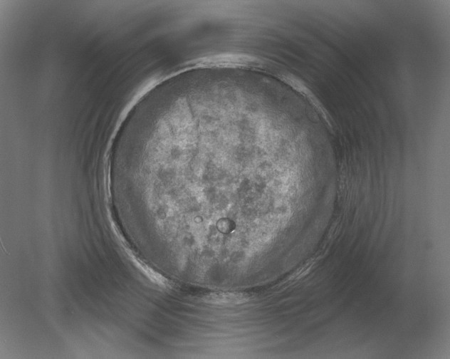 X0000080741083200701051138