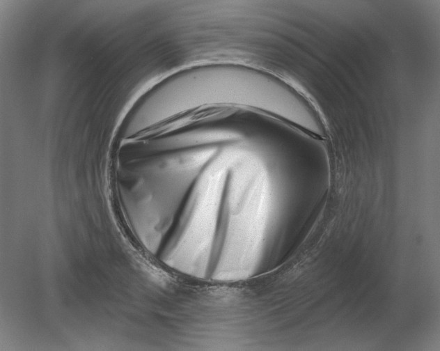 X0000080741085200701051138