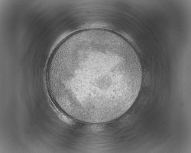 X0000080741086200701051138