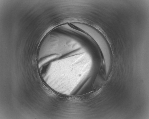 X0000080741089200701051138