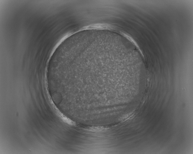 X0000080741091200701051138