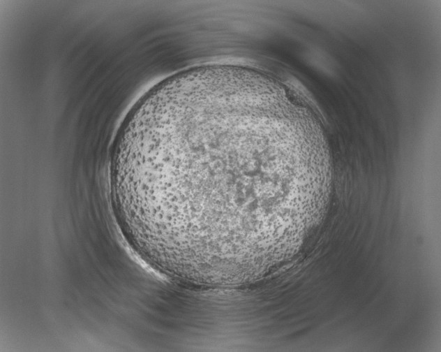 X0000080741092200701051138