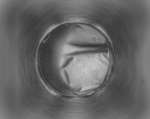 X0000080741093200701051138