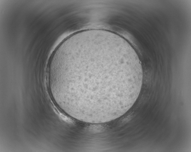 X0000080741094200701051138