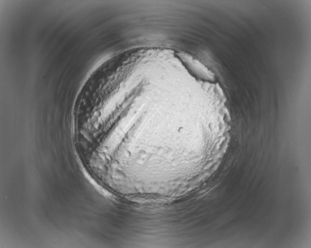 X0000080741095200701051138