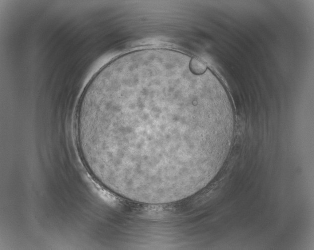 X0000080741098200701051138