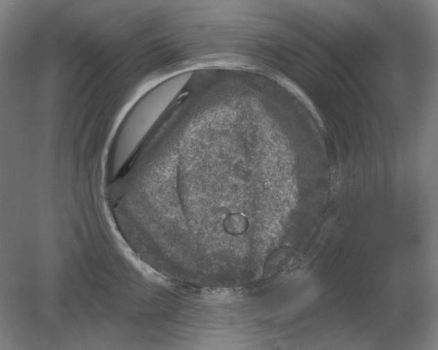 X0000080741099200701051138