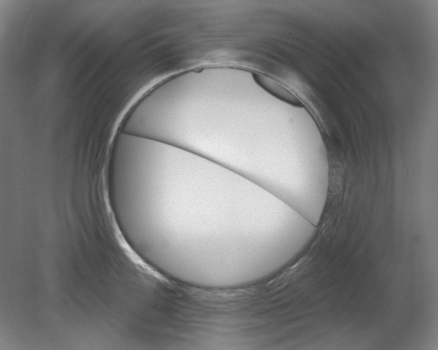 X0000080741100200701051138