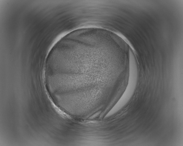 X0000080741101200701051138