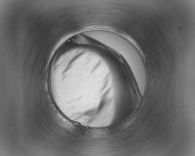 X0000080741102200701051138