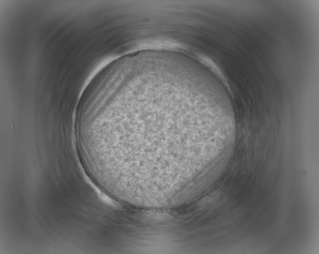 X0000080741103200701051138