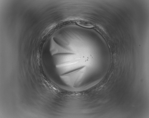 X0000080741111200701051137