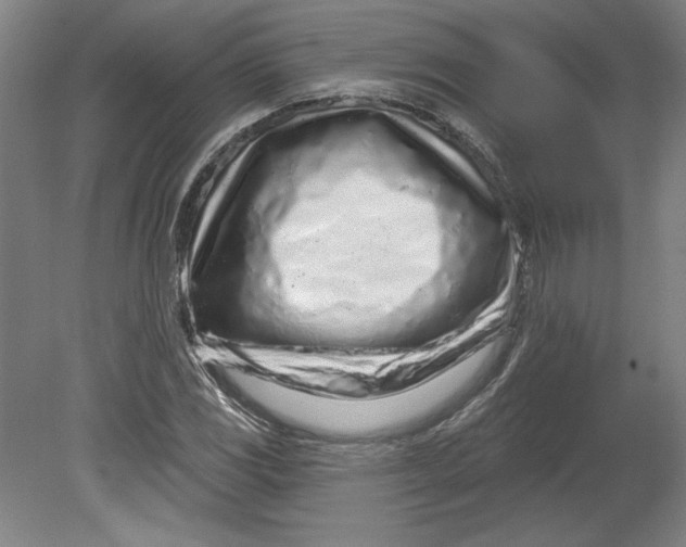 X0000080741117200701051137