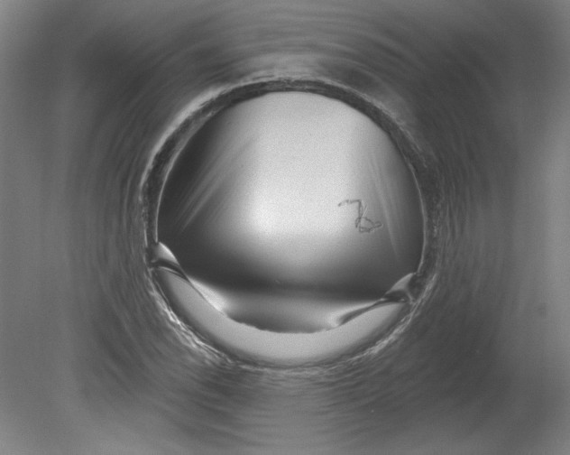 X0000080741118200701051137