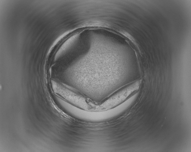 X0000080741120200701051137